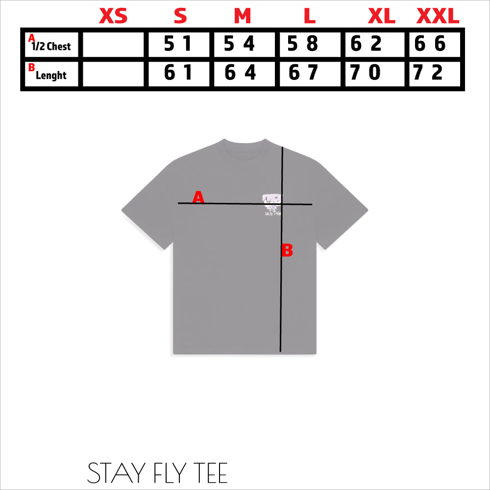 STAY FLY TEE